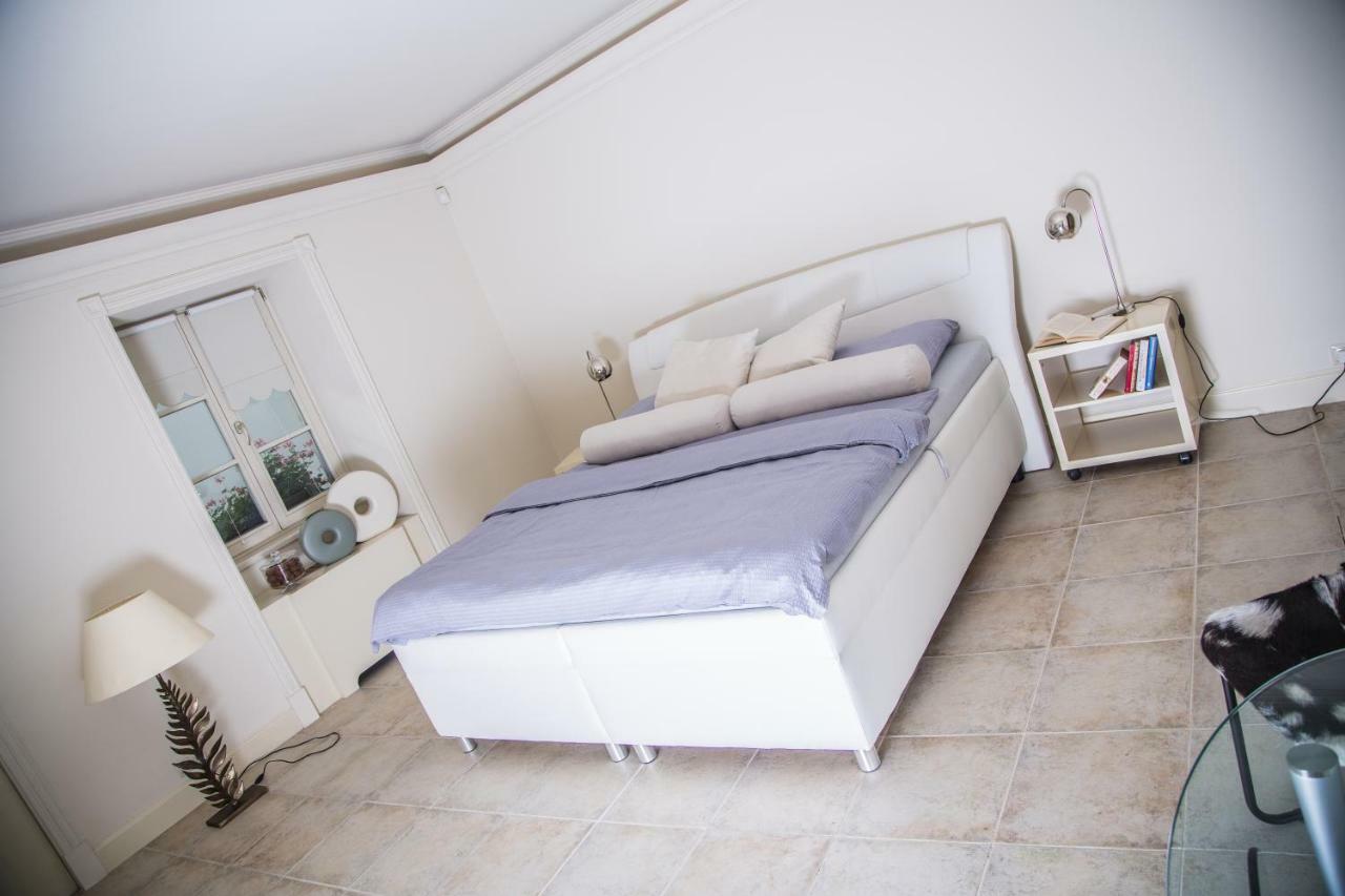 President Boutique Apartment II Brno Esterno foto